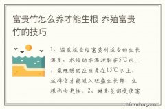 富贵竹怎么养才能生根 养殖富贵竹的技巧