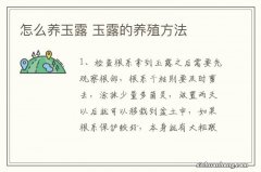 怎么养玉露 玉露的养殖方法