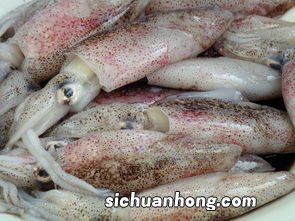 乌贼要煮多久