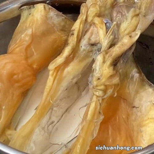 乌贼要煮多久