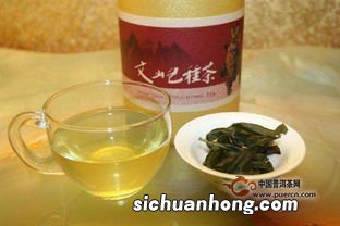 什么叫文山包种茶