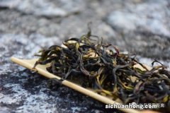 鸭屎香是红什么茶