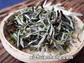 泡福鼎白茶用什么茶具