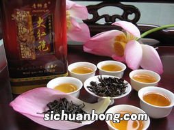 大红袍是什么茶工艺