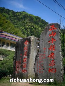 正山小种什么阶段最好