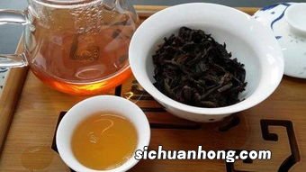 普洱跟什么一起泡好喝