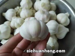 腌制糖蒜用什么糖