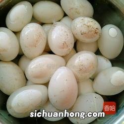 腌制鹅蛋都放什么