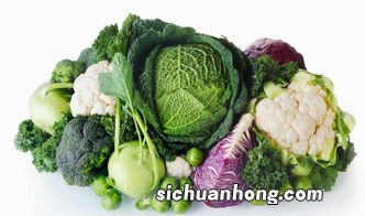 夏天在外面吃什么菜好