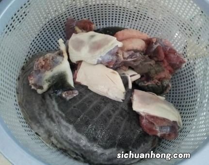 老鳖蛋要煮多久