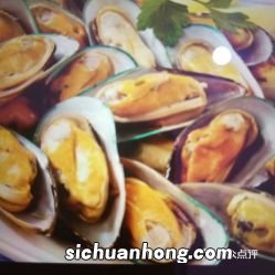 蓝口贝多久可以吃