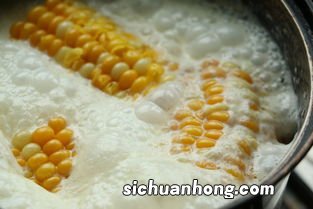 玉米用牛奶怎么煮好吃吗