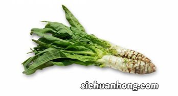 莴笋经常吃有什么害处