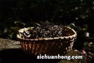 普洱茶生茶存茶需要注意什么区别