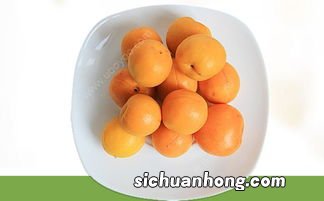 新鲜的杏有什么营养