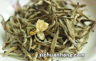 茉莉花茶是什么季节喝