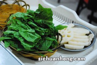 现在有什么好吃的素菜