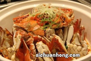 现在有什么好吃的菜肴