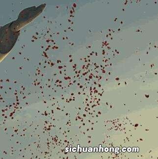 梦到一堆死尸预兆什么