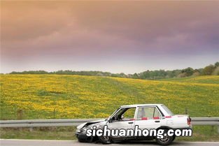 梦到车被砸了什么预兆