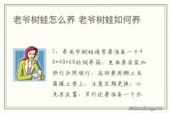 老爷树蛙怎么养 老爷树蛙如何养