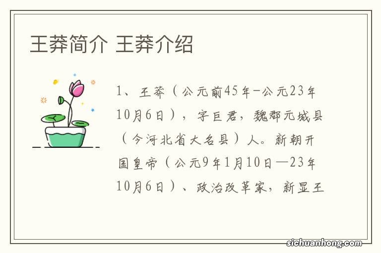 王莽简介 王莽介绍