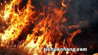 梦见被火烧