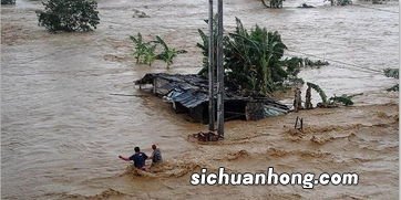 梦见发洪水