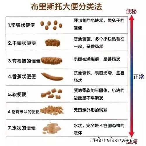 梦见自已拉大便在地上,不小心弄到自己外衣上