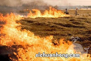 梦见着火了又拿水灭了