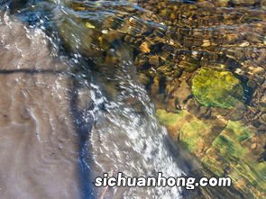 梦见清水流淌是什么意思