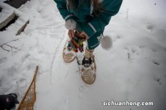 梦见在厚厚的雪里行走