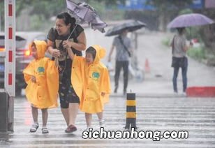 梦见电闪雷鸣倾盆大雨