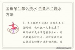 金鱼吊兰怎么浇水 金鱼吊兰浇水方法