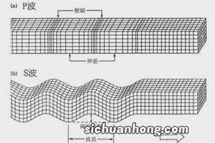 纵波和横波的区别