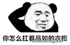 品如什么梗