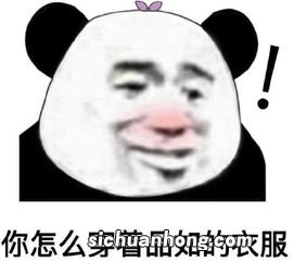 品如的衣服是什么梗