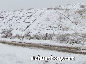 梦见下大雪了