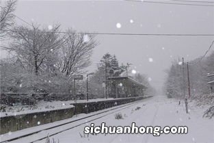 梦见下大雪了