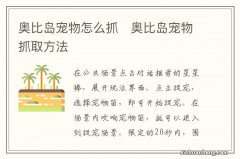 奥比岛宠物怎么抓　奥比岛宠物抓取方法