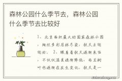 森林公园什么季节去，森林公园什么季节去比较好