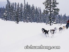 梦见下雪了是什么意思