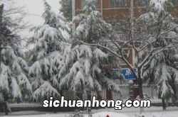 梦见下雪了是什么意思