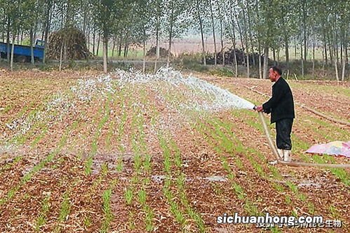 梦见浇地跑水是什么意思