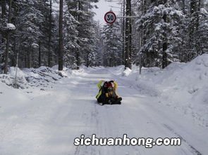 女人梦见地上一层薄薄的雪