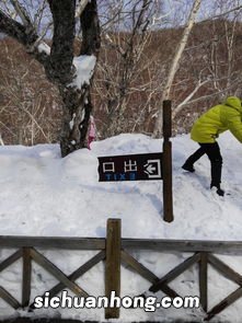 女人梦见地上一层薄薄的雪