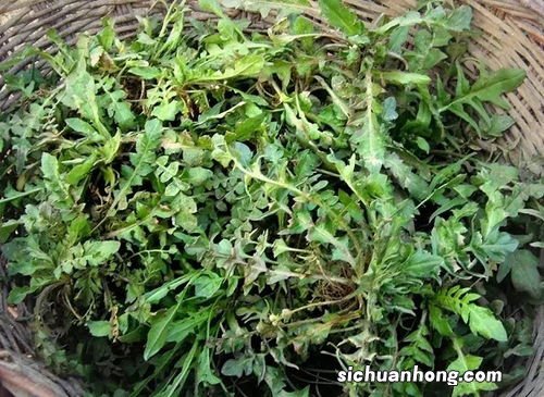 女人梦见去地里挖野菜