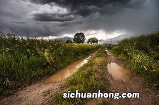 女人梦见下雨走泥泞路