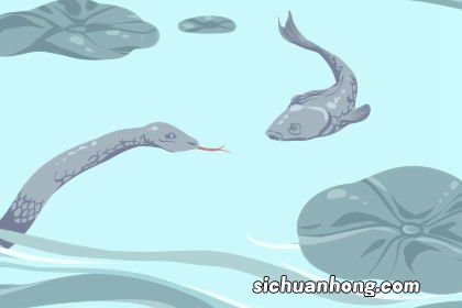 女人梦见黄蜂是什么预兆