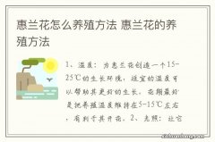 惠兰花怎么养殖方法 惠兰花的养殖方法